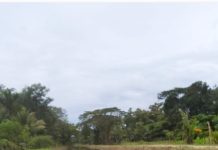 Parit Dibersih, Harapan Petani Bingkor Kembali Mengalir