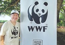 Conservation, Community Engagement, and the Power of Music