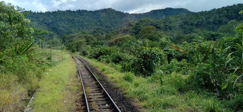 Train ride to Tenom, a memorable adventure | BORNEONEWS.NET